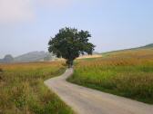  Wanderroute nach Weng 